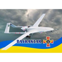 Подушка з принтом №1, 00861-0018